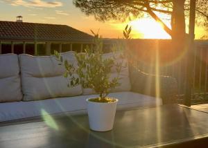 GuestReady - Los Jilgueros del Alberche