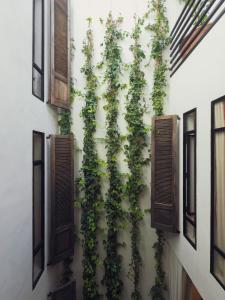 Maison Etchika - Riad 3 chambres au coeur de la médina