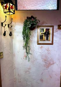 Have A Mediterranean Stay In Swansea Tonight