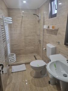 Pensiunea Vis Braila