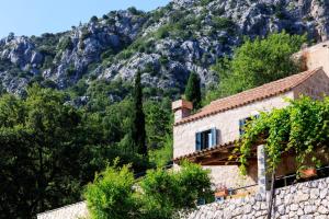 Ivana by Vintage Travel