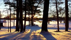 Cozy Lakeside Cabin in Manistee National Forest, Michigan