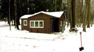 Cozy Lakeside Cabin in Manistee National Forest, Michigan
