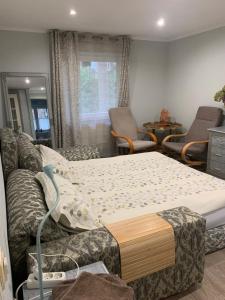 Apartment in a quiet area, near the sea and forest