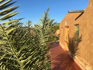 Dar Tiniri - Guest House - Zagora
