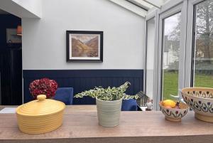 Cottage 492 - Clifden