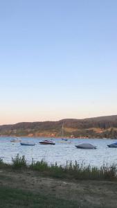 Gemütliche grosse 2 Zimmer Wohnung mit grosser Terasse in Seenähe, Höristrasse 8 in 78343 Gaienhofen