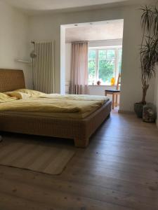 Gemütliche grosse 2 Zimmer Wohnung mit grosser Terasse in Seenähe, Höristrasse 8 in 78343 Gaienhofen