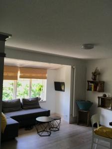 Gemütliche grosse 2 Zimmer Wohnung mit grosser Terasse in Seenähe, Höristrasse 8 in 78343 Gaienhofen