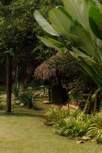 Unique design and cozy property