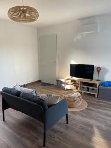 Magnifique maison neuve Mimizan plage entre pins et océan