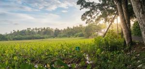 Hikka Breeze villa apartment