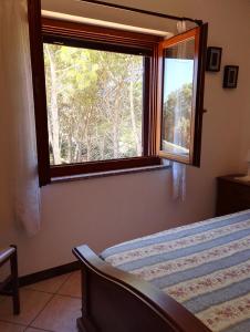 Pineta Spiaggia Grande img20