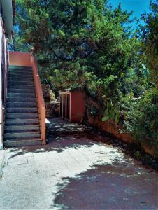 Pineta Spiaggia Grande img23