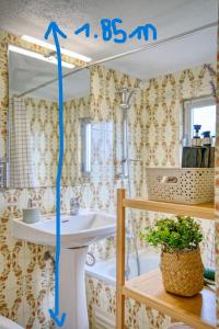 Terrace Charming Century Apartment