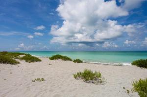 Tranquil condo minutes from Venice Beach - Beach Bungalow