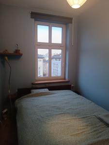 Appartement au coeur de Kazimierz