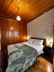 MetsoVillas στο κέντρο του Μετσόβου