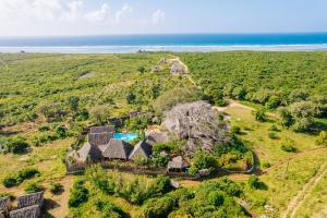 baobab Africa zanzibar