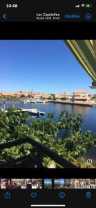 Marina with terrace in Barcares