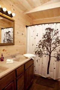 Stunning Cabin with Hot-tub and Fireplace in Herod, Illinois