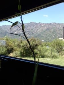 Cabaña Los Espinillos