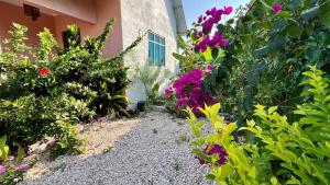 Secluded House with Outdoor Cinema - 4 min Walk to the Beach