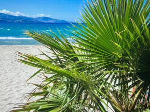 Blue sea Alikanas beach