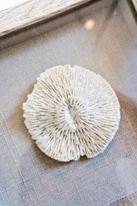 Relax in Style with a Spacious and Fully Stocked Stay