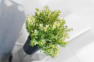 Relax in Style with a Spacious and Fully Stocked Stay