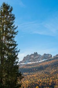 Angiolina Charming Apartment R&R