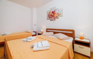 Amazing Apartment In Senj With Wifi