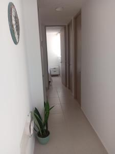 City House Group Girona