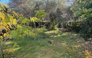 Amazing Apartment In Banjol With Wifi