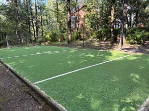 Departamento Pucon Andino