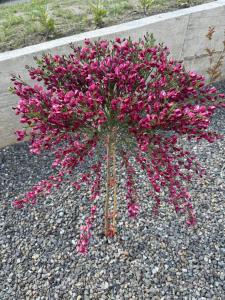 Villa Granea with indoor heated pool and sauna