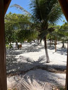 Sitio Meu Refúgio Paracuru