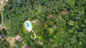 Misty Night Wayanad Pool Resort