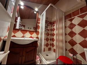 Duplex face aux pistes La Foux dAllos