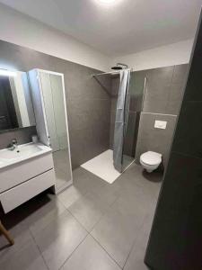 bel appartement vue montagne proche bastia