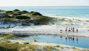 Nautilus! Sleeps 22 - Ocean View - Rooftop Deck