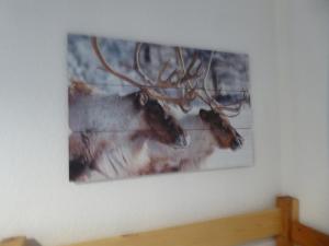 studio cabine résidence les Airelles 2 adultes 2 enfants parking casier à skis