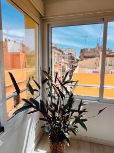 Apartament Sant Feliu de Guixols