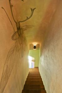 Villa With Bamboo Grove In Maremma