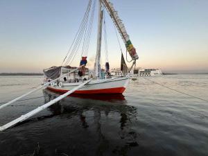 Felucca, welcome sailing