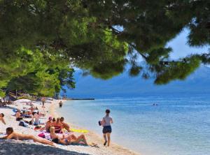 Boutique Hotel Saudade