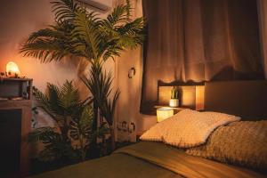 Suite Secret Emeraude