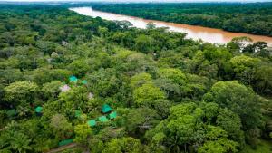 Tronco Tambopata Adventure