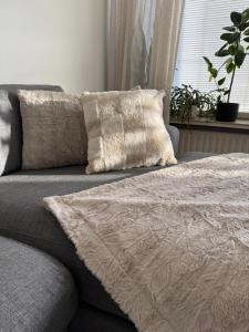 City center apartment