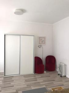 One-bedroom apartment in the city center